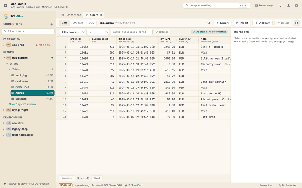 The dbo.orders data grid in the light theme.